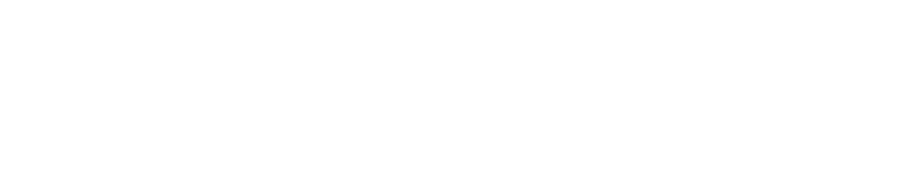 STV_group_horizontal_logo_white